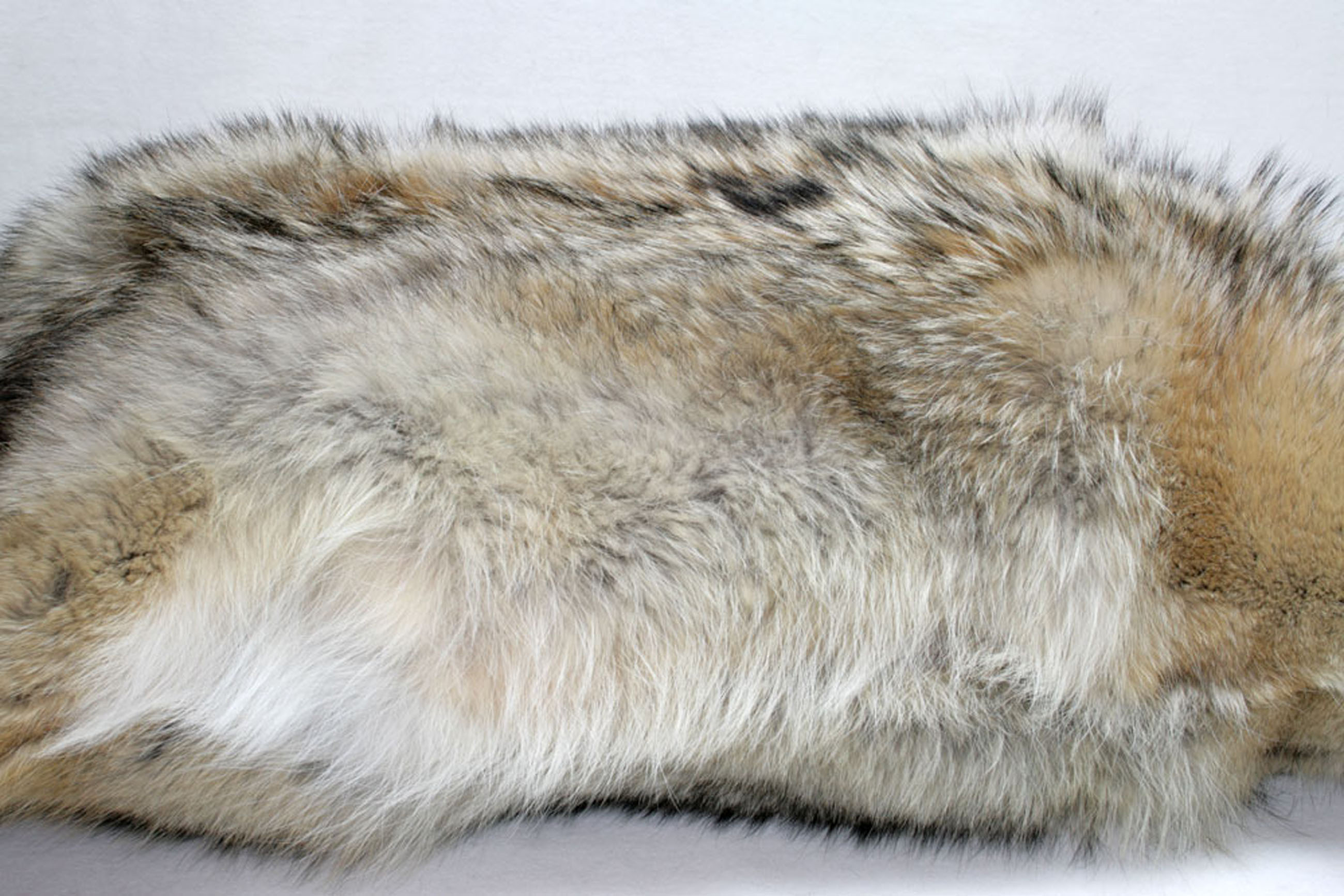 Coyote fur pillow - double sided